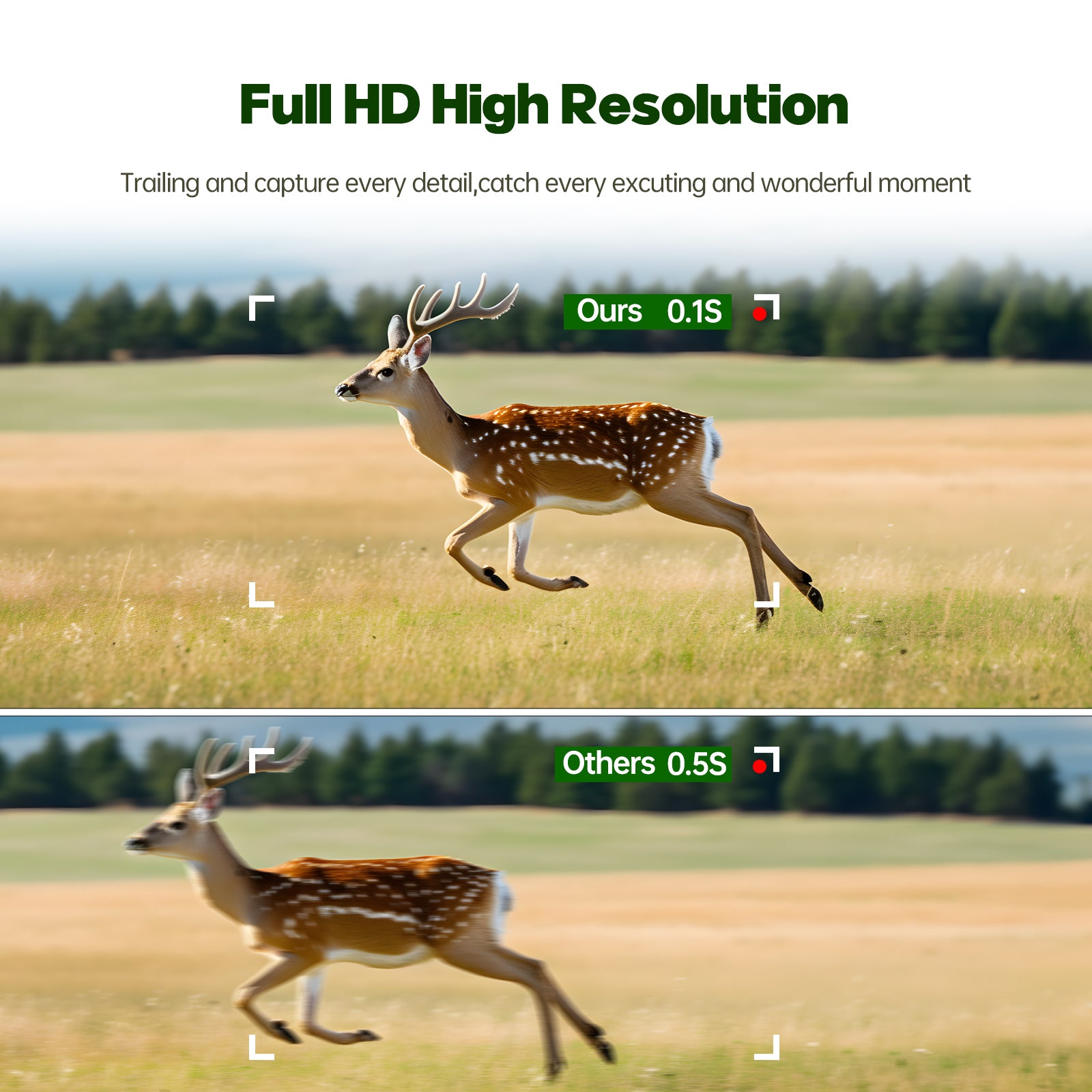  1080P Solar Trail Camera, Game Wildlife Hunting & Trail Cameras with 120° Detection Angle Night Vision Motion Activated