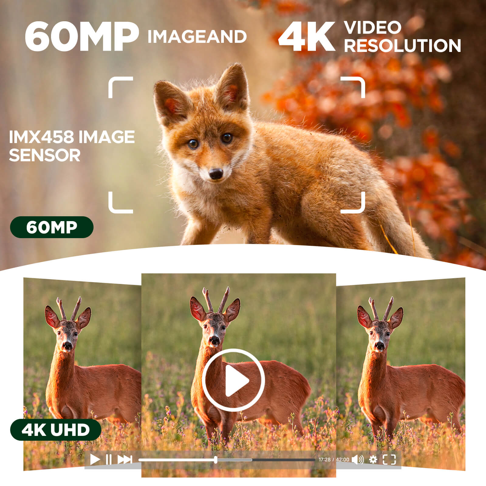 TOGUARD TC22 4K 60MP Solar Trail Camera, Starlight Night Vision for Wildlife Monitoring