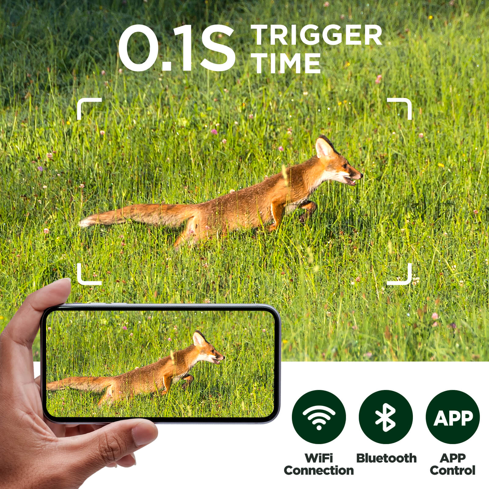 TOGUARD TC22 4K 60MP Solar Trail Camera, Starlight Night Vision for Wildlife Monitoring