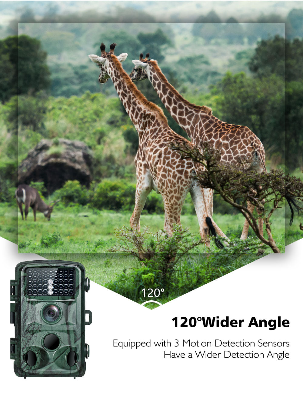Toguard H45A 4K 20MP avec détecteur de mouvement Vision nocturne, déclencheur rapide 0.2S 2160P pour la chasse aux animaux sauvages