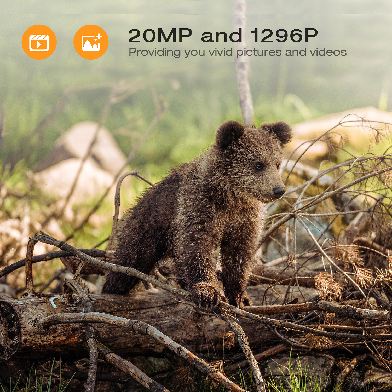 Toguard H85 Wildkamera WiFi Bluetooth 20MP 1296P Jagd Wildkamera
