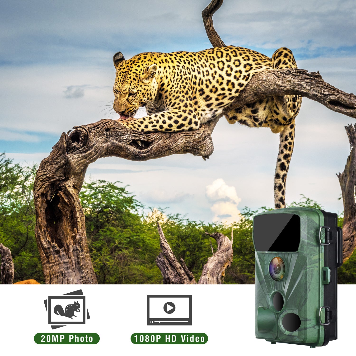 Toguard H70A 20MP 1080P Wildkamera für Jagd und Wildbeobachtung