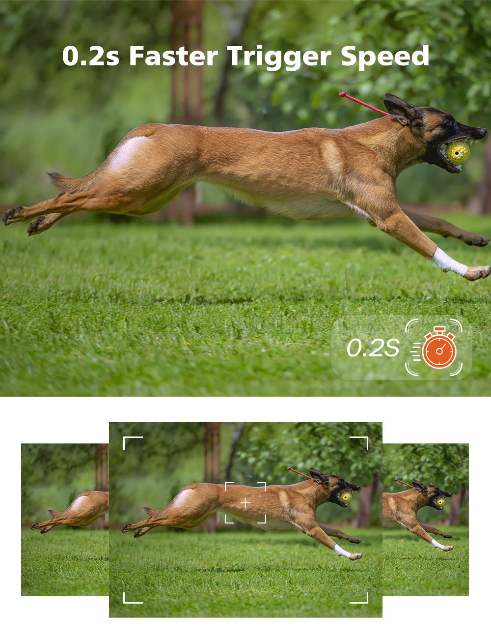 Toguard H45 Trail 14MP 1080P Wildkamera für die Wildjagd