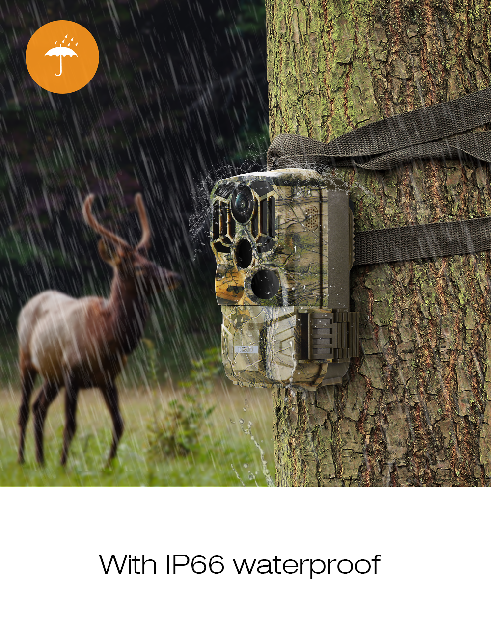 Toguard H80 WiFi Wildkamera 20MP 1296P Wildkamera Outdoor-Scouting Wildtier-Jagdkamera