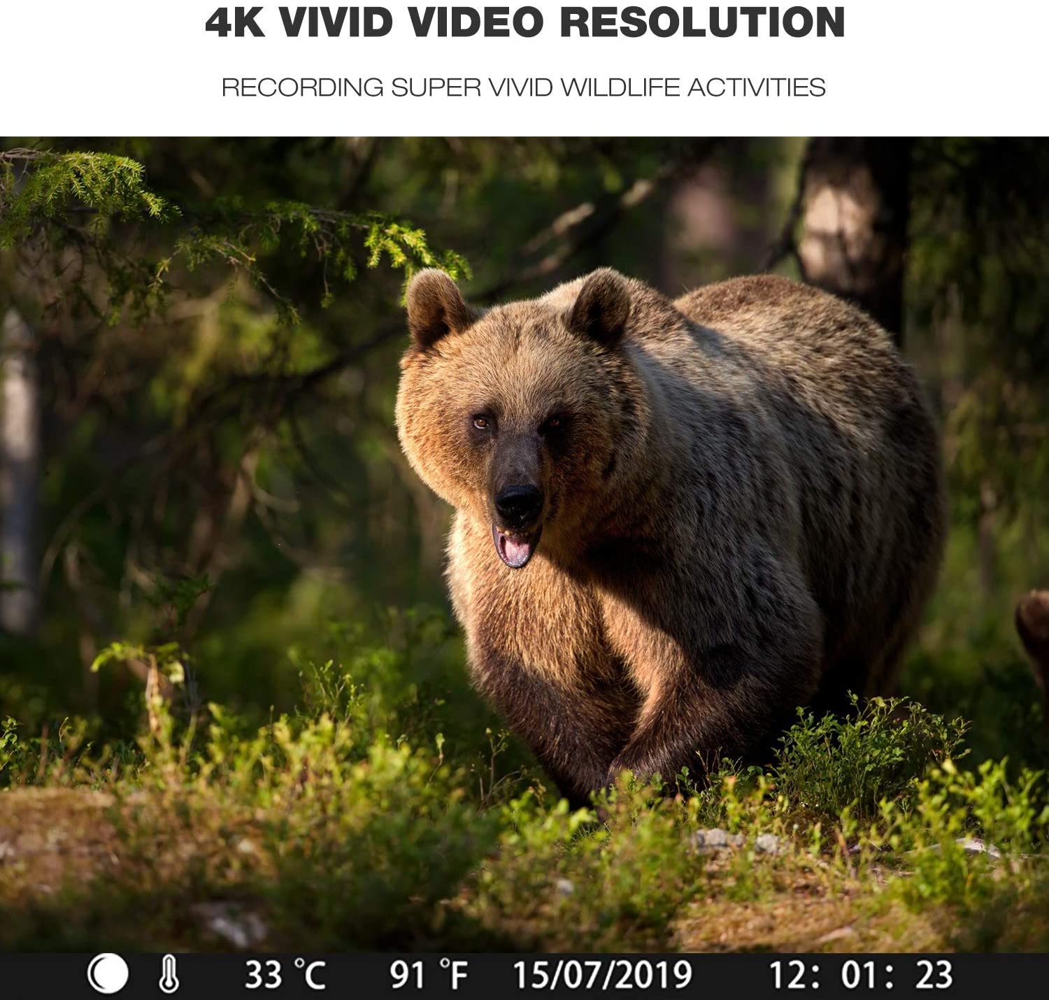 Toguard H100 4K WiFi Trail Camera Bluetooth 30MP with IR LEDs Night Vision Game Camera (Only Available In Europe)