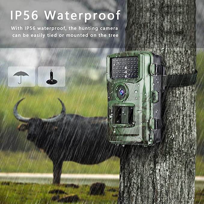 Buy Trail Camera Online Toguard H40 Trail Camera Best Trail